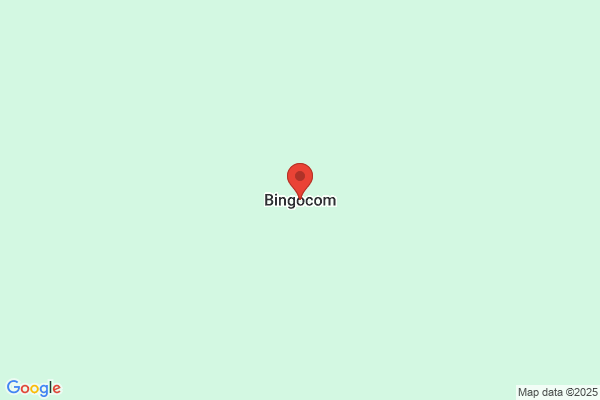 Bingo.Com