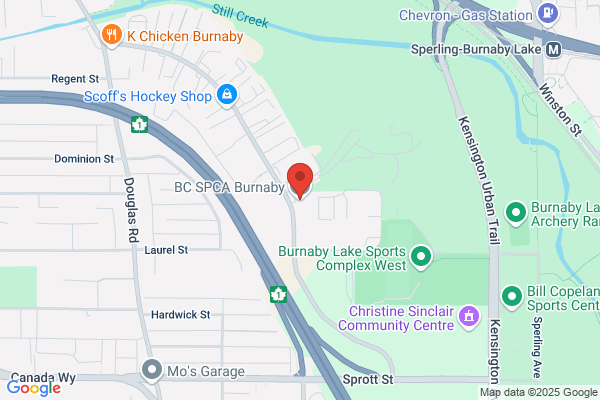 Burnaby City of, Animal Shelter