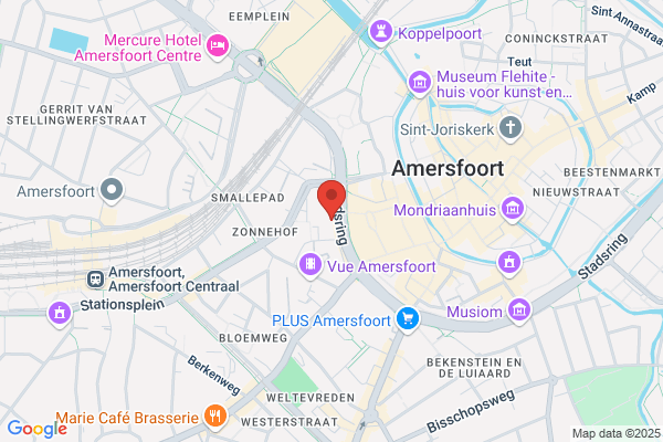 Ami Partners Inc