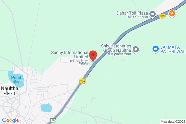 Sunny International Services Corp