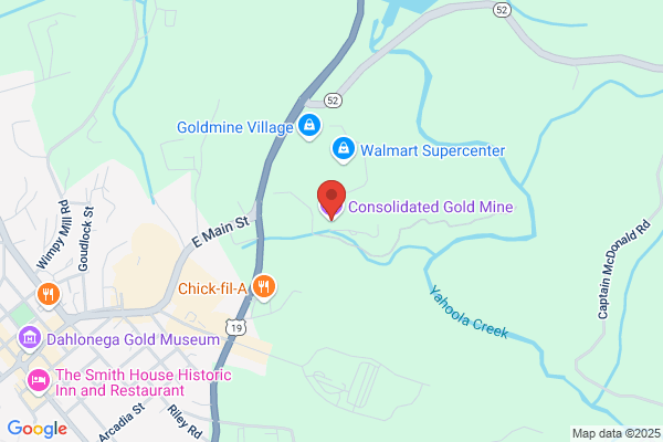 Consolidated Shoshoni Gold Inc