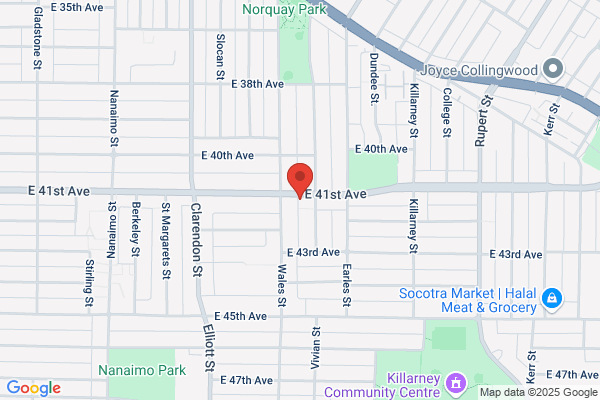 Vancouver Dog Grooming & More