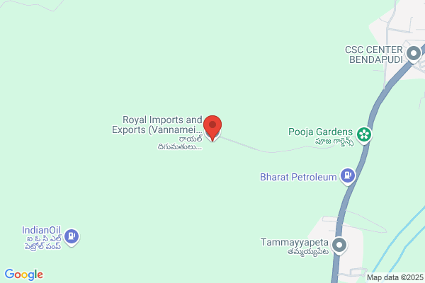 Royal Shrimp Importing & Distributing Inc