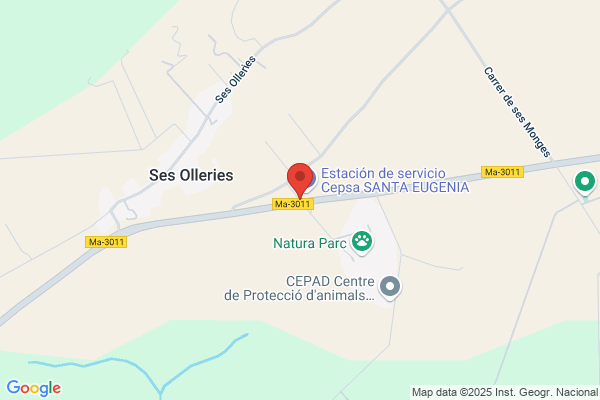 Cana Teca International S A