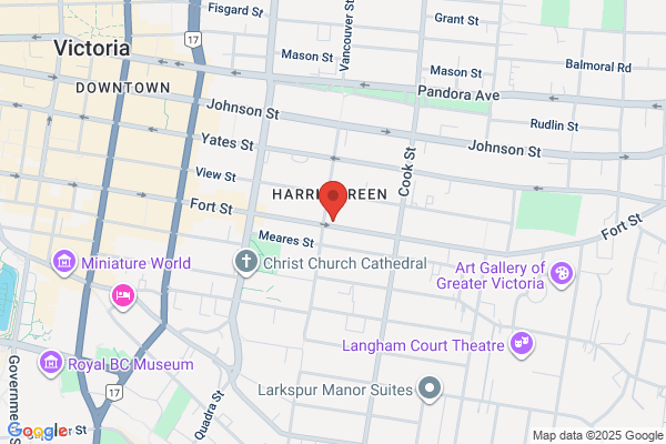 Larkin & Nast Chartered Accountants