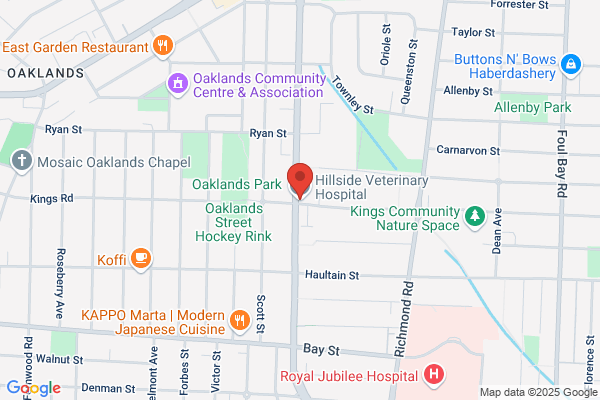 Hillside Veterinary Hospital (Anc) Ltd