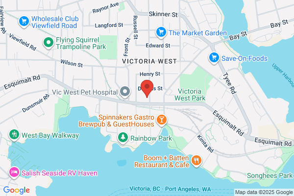 Island Rent A Car