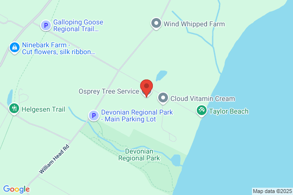 Osprey Tree Service