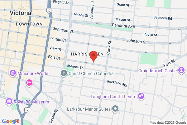 Mamic Development Ltd