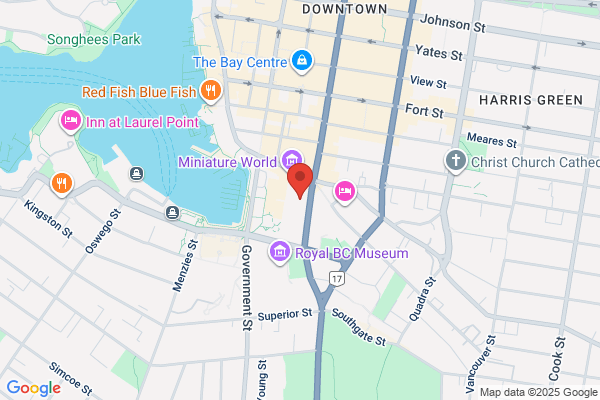 CVS Tours