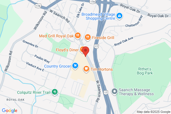 Robertson L N Dr Chiropractor