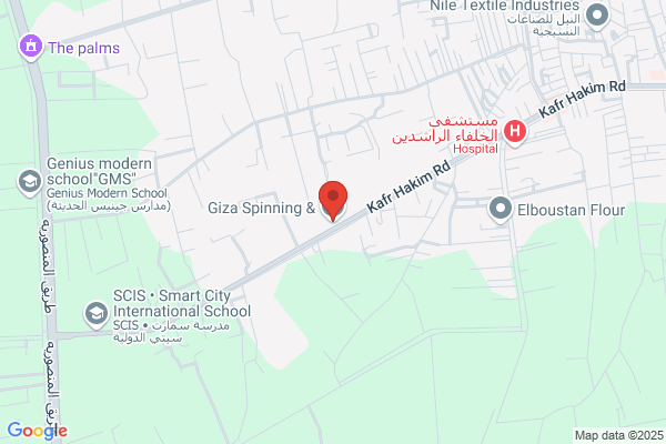 Giza Industrial Associates Ltd
