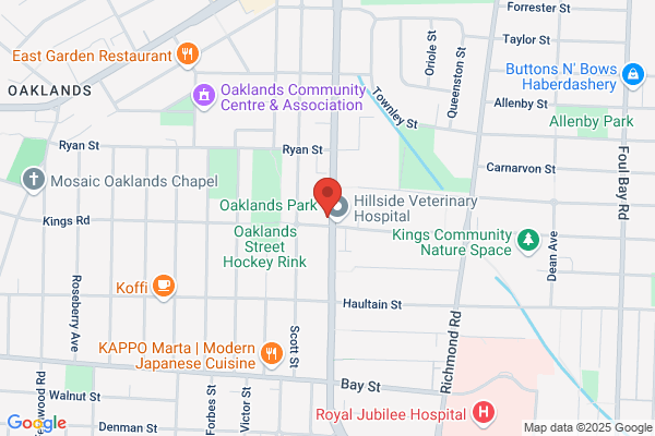 Kings Road Family Dentistry