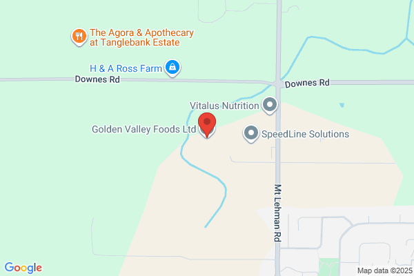 Golden Valley Foods Ltd