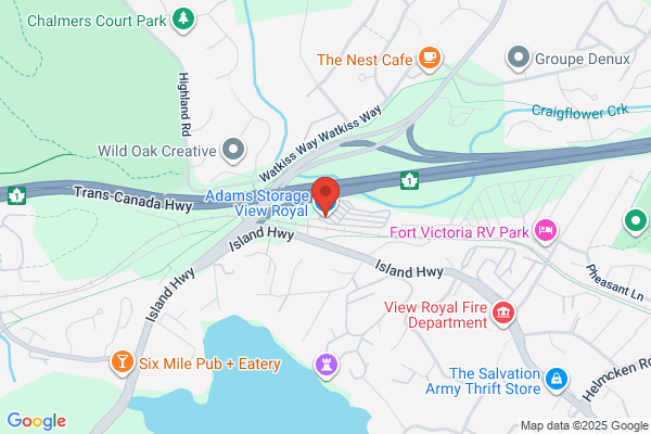 V I Electric Ltd
