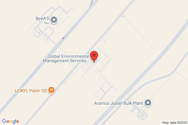 Global Environmental Management Systems