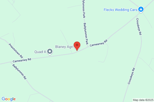 Blaney & Sons Trading Ltd