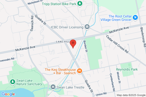 Chiropractors At Saanich Centre