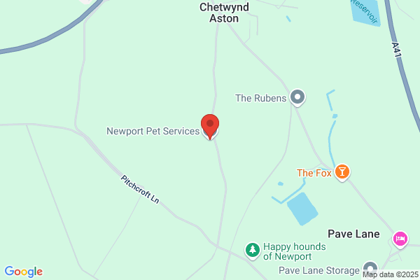 Newport Housesitting Service