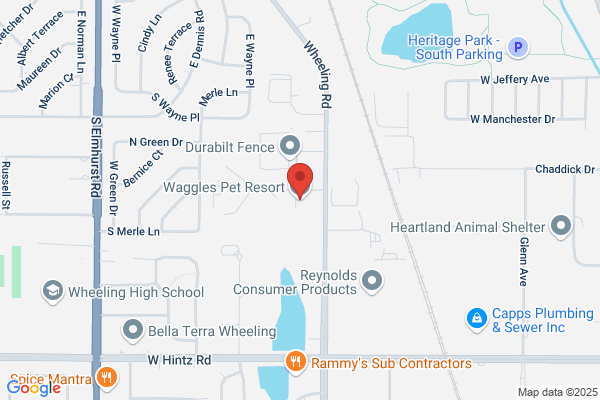 Waggle Muffins Doggie Daycare & Pet Hotel