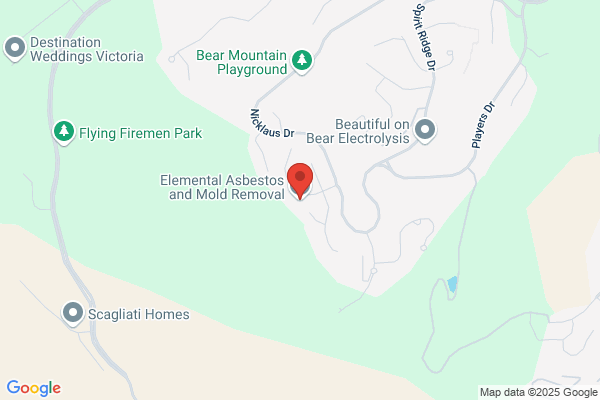 Elemental Asbestos and Mold Removal