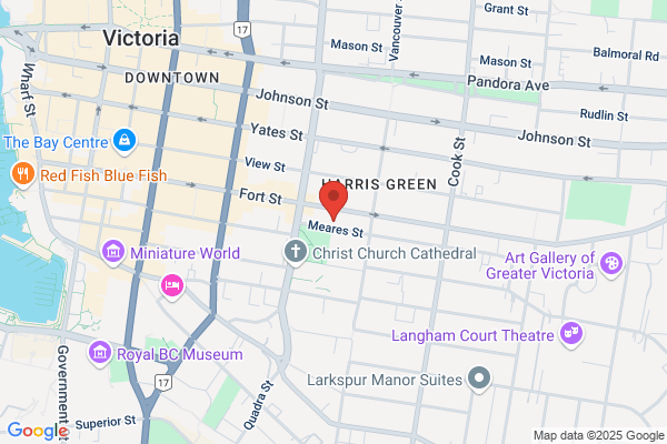 Vaughan Michael Dr Inc