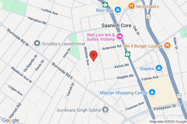 City Service Plumbing Ltd