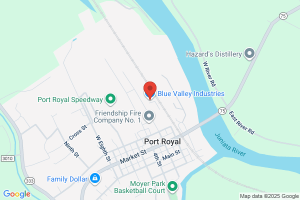 Blue Valley Industries Ltd
