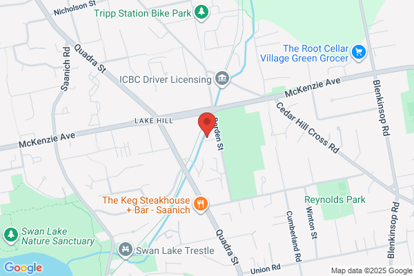 Community Support Team