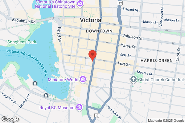 Vicorp Services Ltd