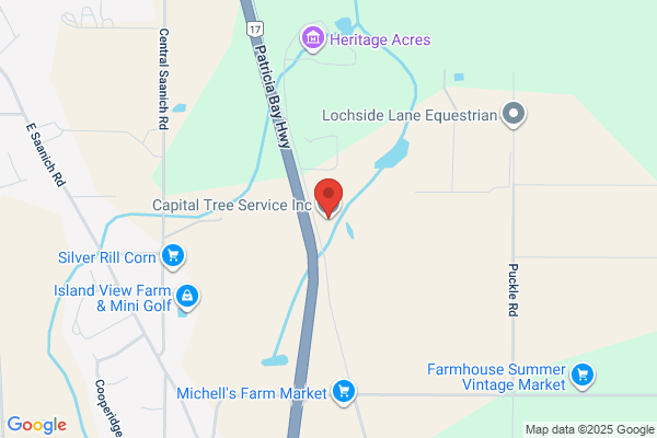Capital Tree Service