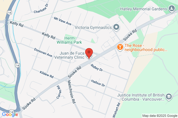 Juan de Fuca Veterinary Clinic