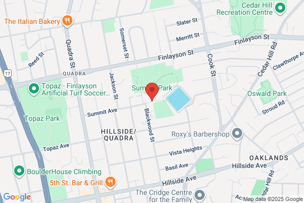 Lance Vaesen Roofing Ltd Roofer