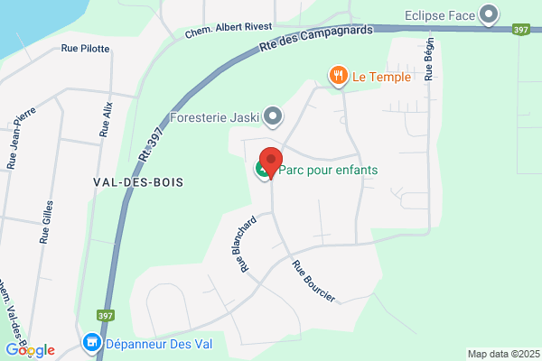 DSP Sécurité