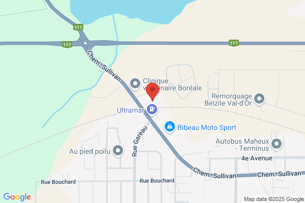 Conseil-Conjoint Local 9-777-Ami