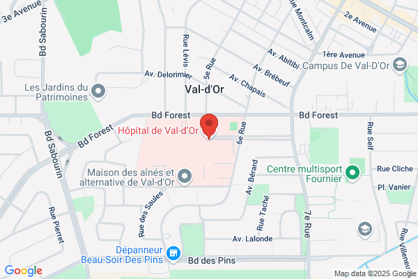Syndicat Des Employes D'hopitaux De Val D'or