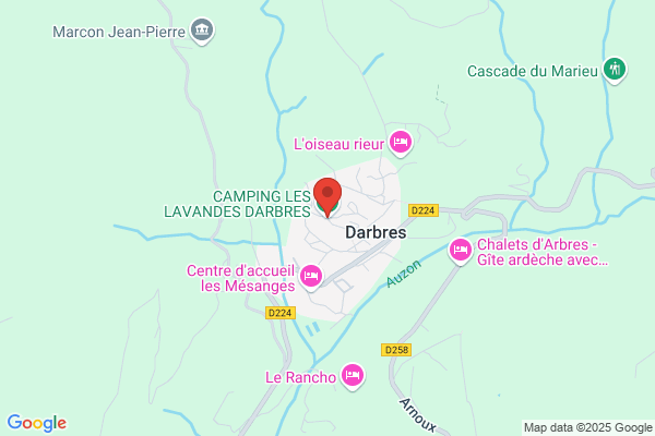 Élagage Frère D'arbres