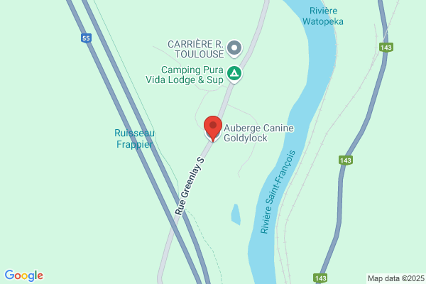 Auberge Canine Goldylock