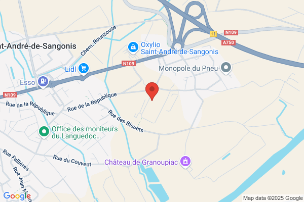 Line Dicaire Orthophoniste