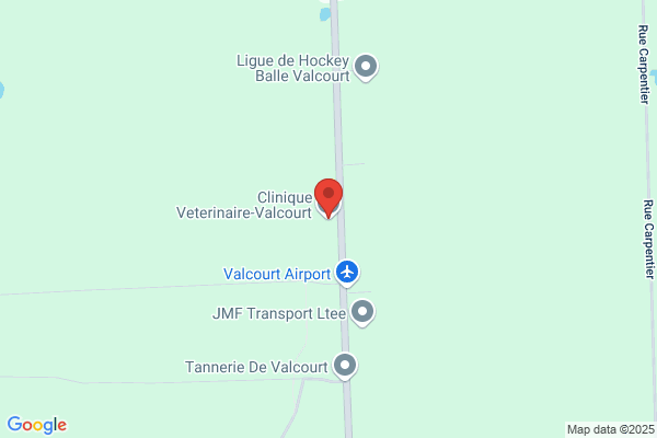 Clinique Vétérinaire De Valcourt