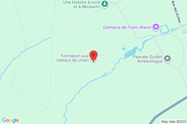 Ecole Du Chien Inc