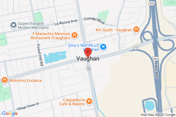 Dufferin Chimney Service Inc