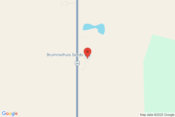 Brummelhuis Seeds