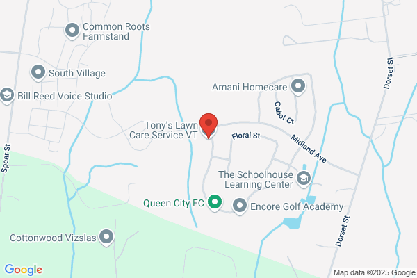 Tony's Lawn & Garden Maintenance
