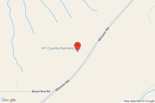 HY Country Kennels