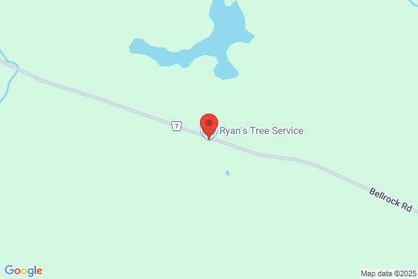 Ryan's Tree Service