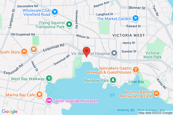 Victoria Auto Detailing