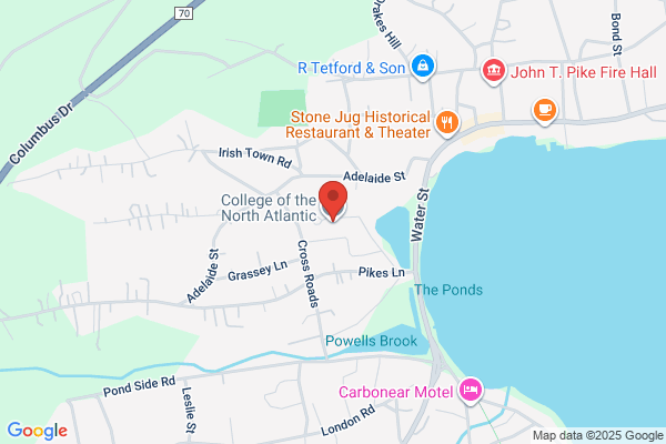 Avalon Health Care Institutions Board, Asst Chief Exec Off-Facilities Management