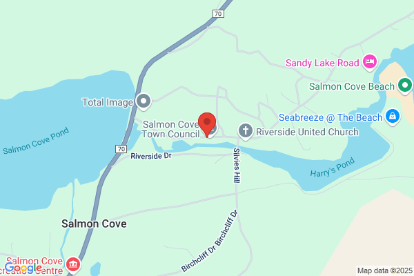 Fire-Emergency Calls Salmon Cove-Perry's Cove