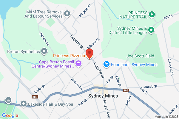 Princess Pizzeria